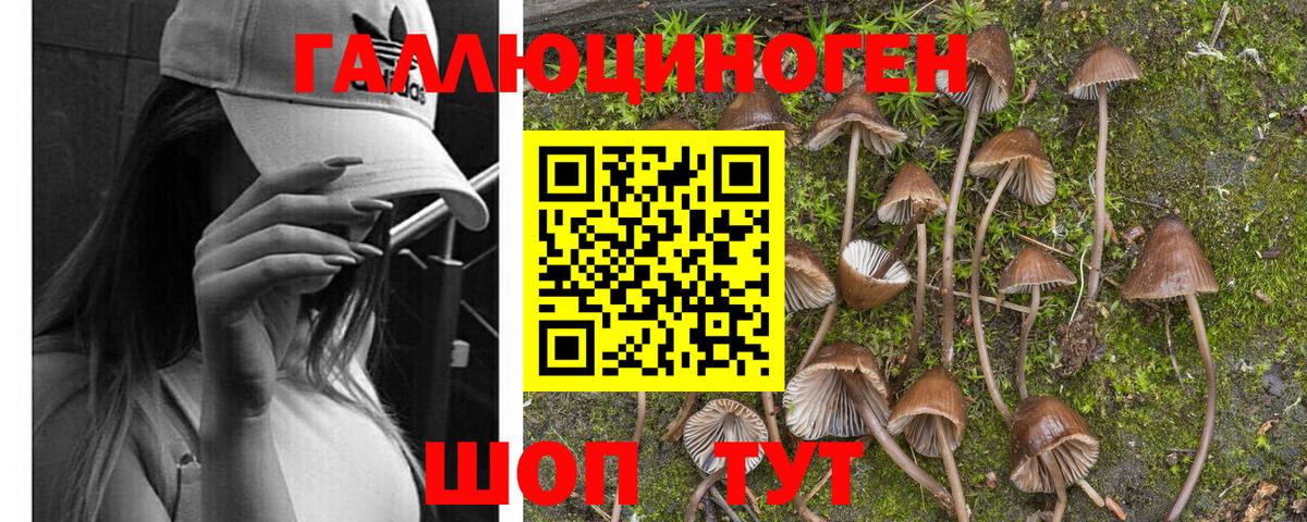 Галлюциногенные грибы мицелий  Псилоцибиновые грибы прущие грибы  Вход с VPN  купить   Скопин 